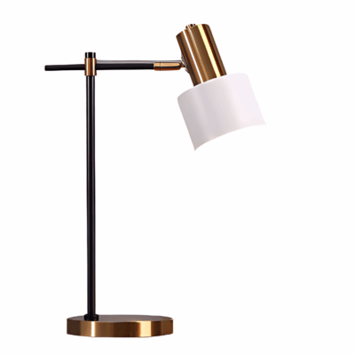 Smart Spin Desk Lamp