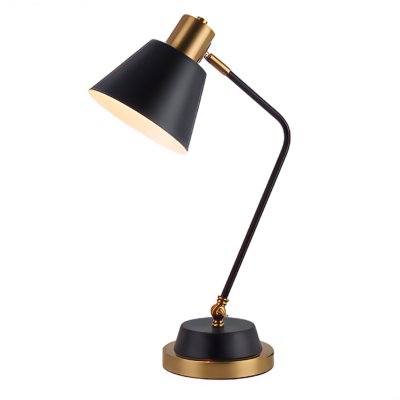 Flexi Spin Desk Lamp