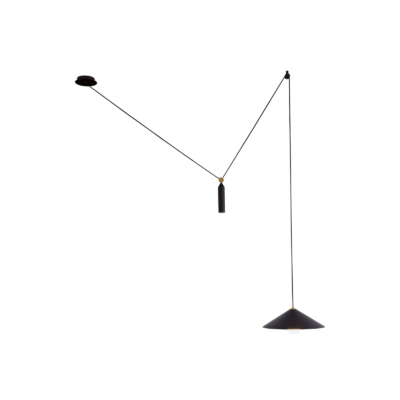 Adjustable Arm Pendant Light